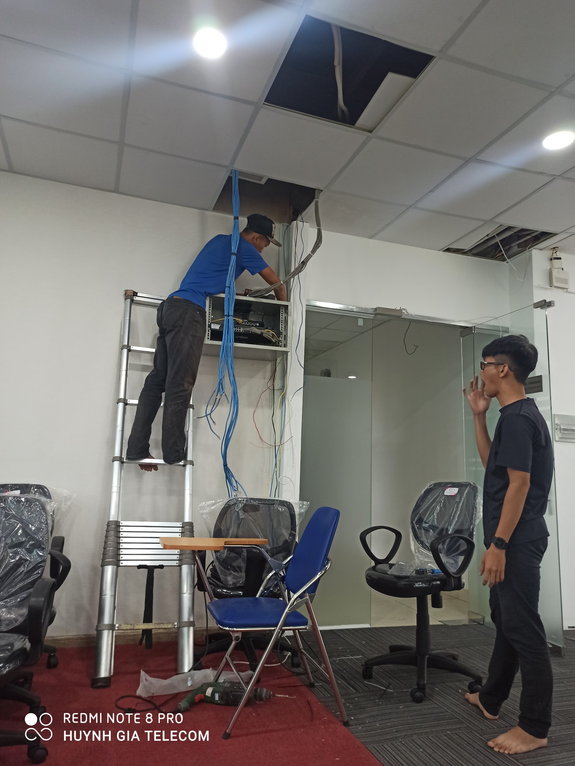 lĩnh vực hoạt động